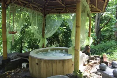 Image de Ecolodge tout confort au coeur de la jungle tropicale!