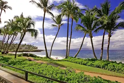 Image de Wailea Elua Resort Gorgeous Remodel # 1507