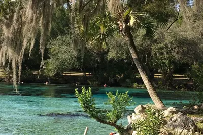 Image de Belle escapade dans la forĂŞt nationale d'Ocala en Floride @ Salt Springs Resort!
