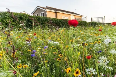 Image de Bungalow Ă la campagne, Ă seulement 10 minutes en voiture de la plage. Wifi gratuit
