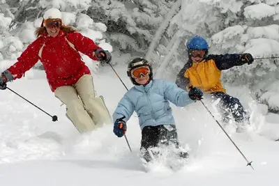 Image de Charmant mini-chalet de ski avec cheminée en pierre et bain à remous