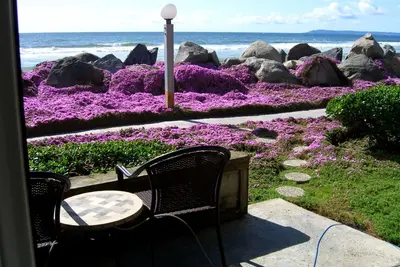 Image de Beach Front Condo ~ Si proche de l'eau, vous pouvez le sentir ~ 30 + jour de réduction! ! !