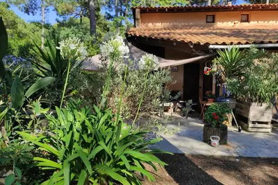Image de Maison 6 couchages parc forestier jardin terrasse proche centre ville et plages