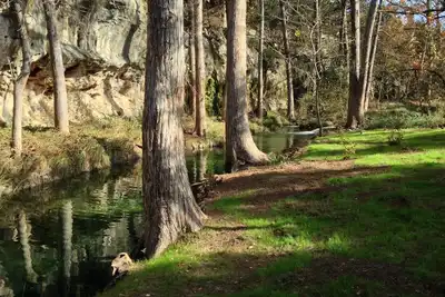 Image de Fabuleuse maison spacieuse sur Creek-Relax au pays des collines avec Texas Bluebonnets