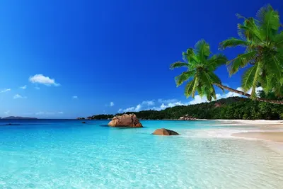 Image de La vie salée à Sapphire Beach