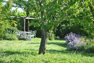 Image de En vacances dans la ferme toscane à dix minutes du centre ville