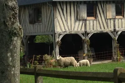 Image de Charming gîte near Honfleur\/Deauville with tennis court. 4 ha. Pets welcome!