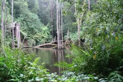 Image de Parkwood Cottage Otways