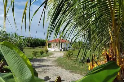 Image de Bungalow créole entre mer et campagne\n En pleine nature, calme et ventilée.