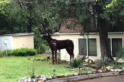 Image de Elk River Retreat sur la rivière! Idéal pour la pêche ou la détente!