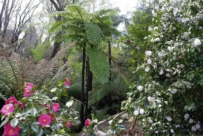 Image de Adelaide Hills Logement en Bed & Breakfast