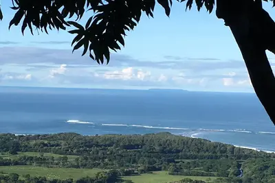 Image de Vues magnifiques sur l'océan! Perroquets, toucans et Tropical Breezes!