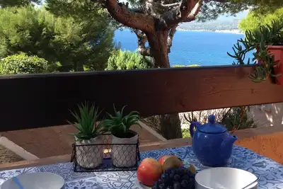 Image de T2 vue mer 180° Avec balcon, Climatisé, accès direct à la mer, Parking, Piscine