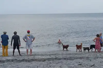 Image de Louer une chambre dans un manoir privé à la plage de Punta Chame