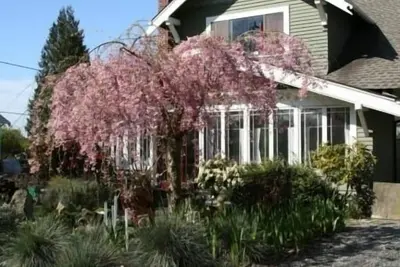 Image de Seattle à son meilleur - le premier quartier piéton! !