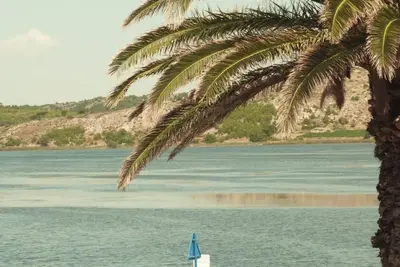 Image de La maison au bord de l'etang
