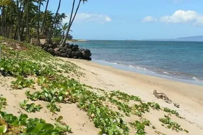 Image de ** Meilleur emplacement privé et tarifs sur l'île **