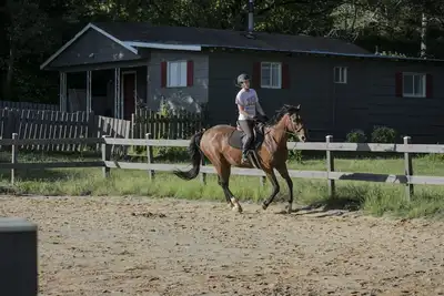 Image de Pays paisible sur un cheval de travail