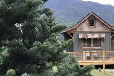 Image de Une cabane faite à la main construite au milieu d'une ferme d'arbres de Noël.