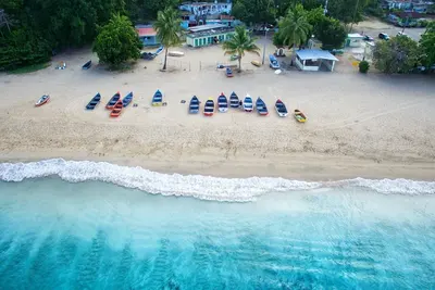 Image de Cocoloba # 2 chez Crash Boat - Une expérience unique en front de mer