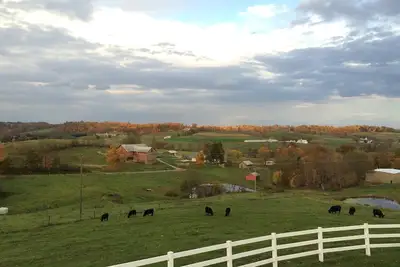Image de Vue imprenable, 2 cuisines, sentiers nature, ferme en activité