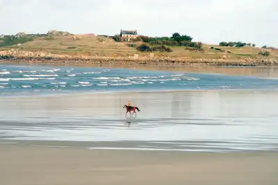 Image de Villa Pieds Ds Leau Plage A Pieds Proche Roscoff Gr34