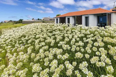 Image de In peaceful Prazeres | Qta. Inácia Orchid Studio