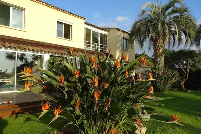 Splendide domaine avec 3 villas vue mer et piscine à Porticcio
