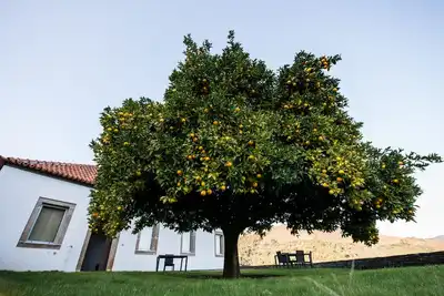 Image de Maison avec de magnifiques paysages au coeur de la vallée du Douro - Wifi gratuit