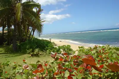 Image de Domaine en bord de mer avec chalet d'invité Piscine chauffée de Sandy Beach / Spa