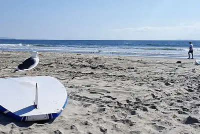 Image de La vie à la plage de Coronado!