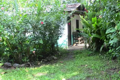 Image de Petite cabine pittoresque située à proximité de tous les services, nichée dans un environnement de jungle