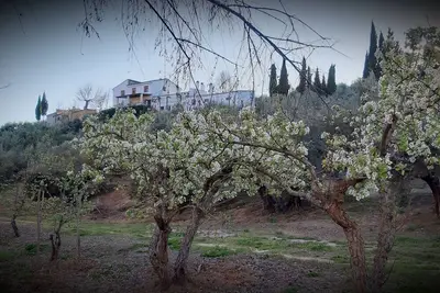 Image de Gîte Cortijo El Capricho pour 7 personnes