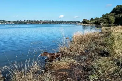 Image de Gite dans longère typique des bords de Rance