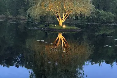 Image de Swan Lake Resort Rentals