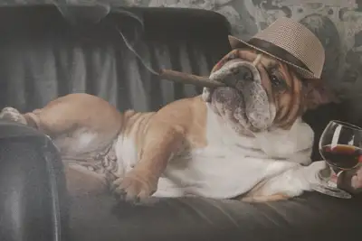 Image de Bienvenue dans notre maison de vacances \"Oscar\" Ă Volkesfeld