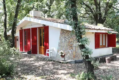Image de Chalet Villa Fini immergé dans la forêt de chênes.