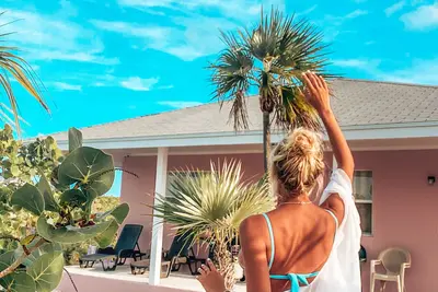 Image de Un coin de paradis tropical