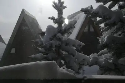 Image de Petit chalet ----------
