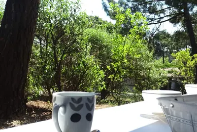 Image de Plage à 200 m! Confort, wifi privé, draps, piscine, terrasse, jardin, parking