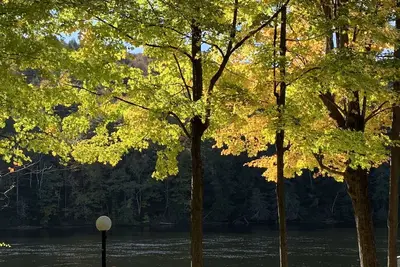 Image de Bord de mer paisible des Adirondacks