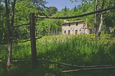 Image de Cottage Situé Dans La Châtaigneraie Ancienne