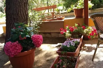 Image de Mimosa Une maison individuelle de trois pièces dans la résidence Villa Carla