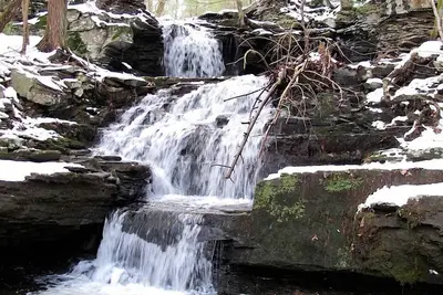 Image de 36 Pvt. Acres, ruisseau, chutes d'eau, foyer au gaz, douche Ă vapeur, WiFi, salle de jeux