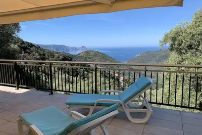 Image de Les Asphodèles