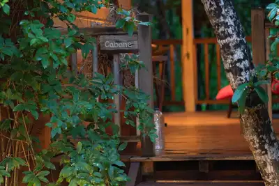 Image de Insolite en famille. . . La cabane aux étoiles