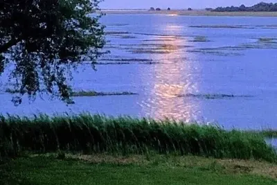 Image de Spécial Août * Avant-Marais💖-Près du Marshwalk-Firepit-Kayaks-Énorme cour *