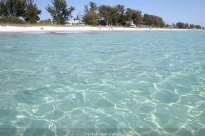 Image de La piscine Ocean View Beach Front Appartement