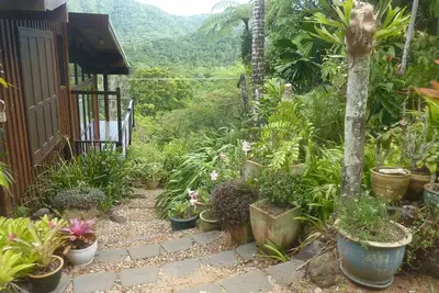 Image de Daintree Holiday Homes - The Folly - Une retraite nature dans le Daintree