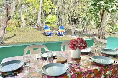 Image de Vue sur jungle, proche plage superbe, coin typique, idéale pr visiter la région!